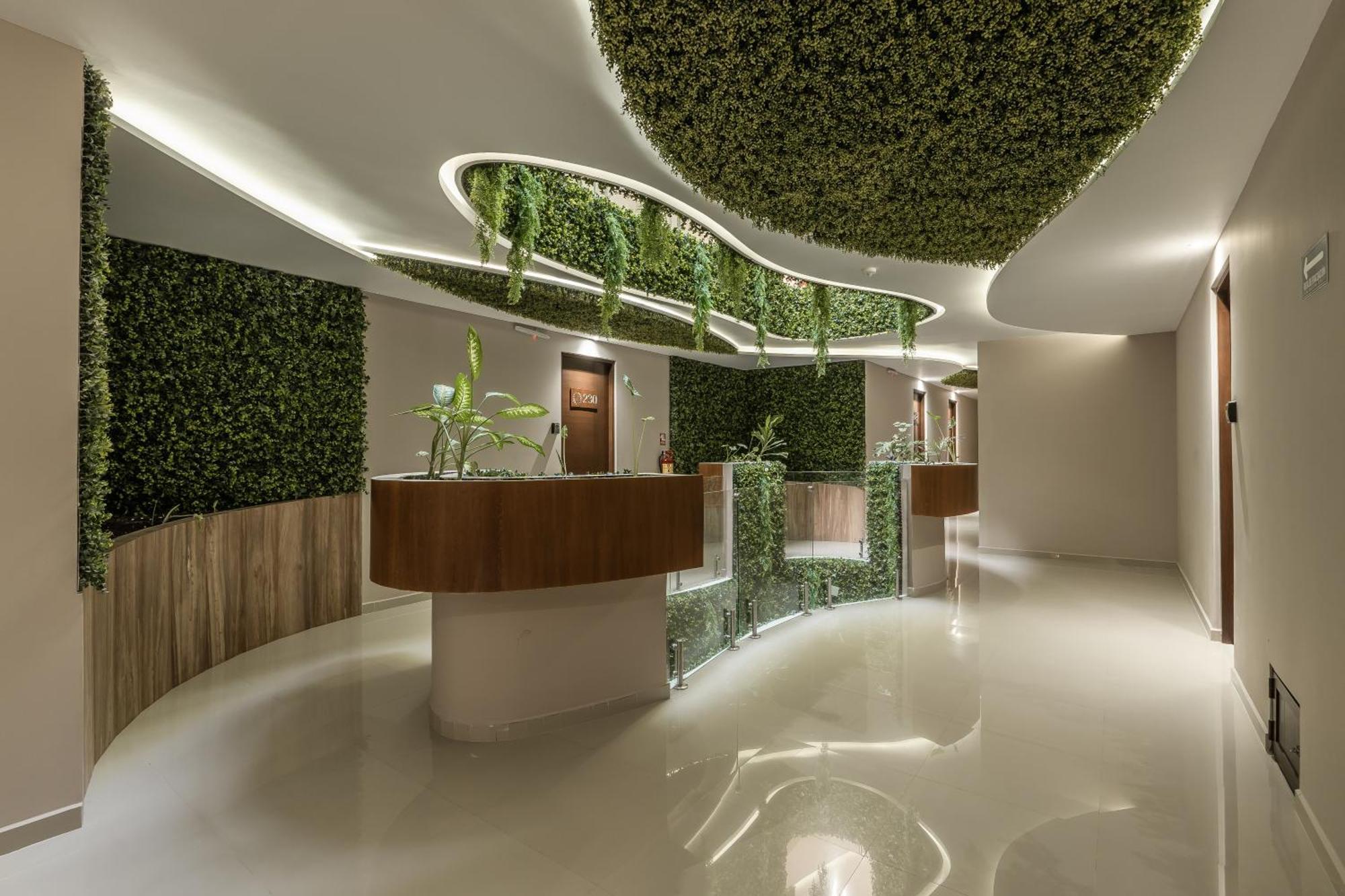 Estudio Lujoso, Downtown, Close To Restaurants ตูลุม ภายนอก รูปภาพ